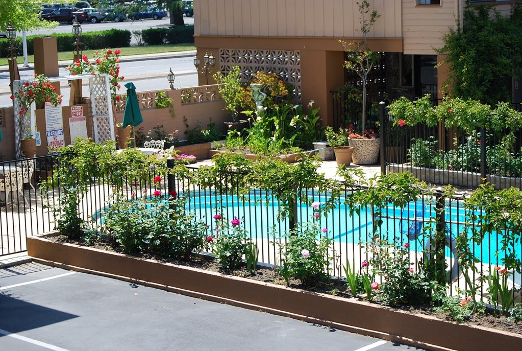 Stanford Motor Inn Palo Alto Fasiliteter bilde