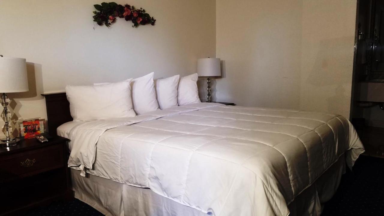 Stanford Motor Inn Palo Alto Eksteriør bilde